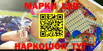 гашик Сланцы