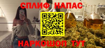 гашик Сланцы