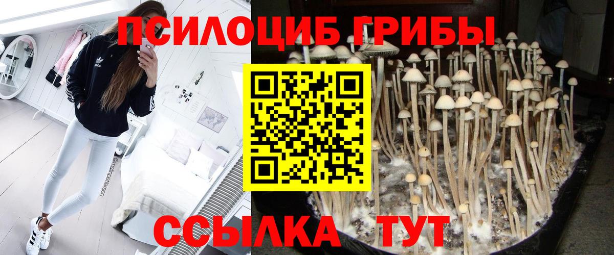 Псилоцибиновые грибы мицелий  Галлюциногенные грибы MAGIC MUSHROOMS  Вход с VPN  Саяногорск 